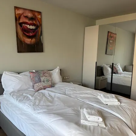Luxury Brand New Md 2 In Center Apartment *